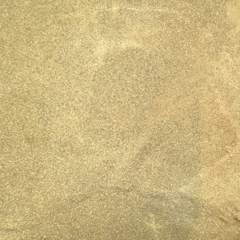 Neem Leaf Powder