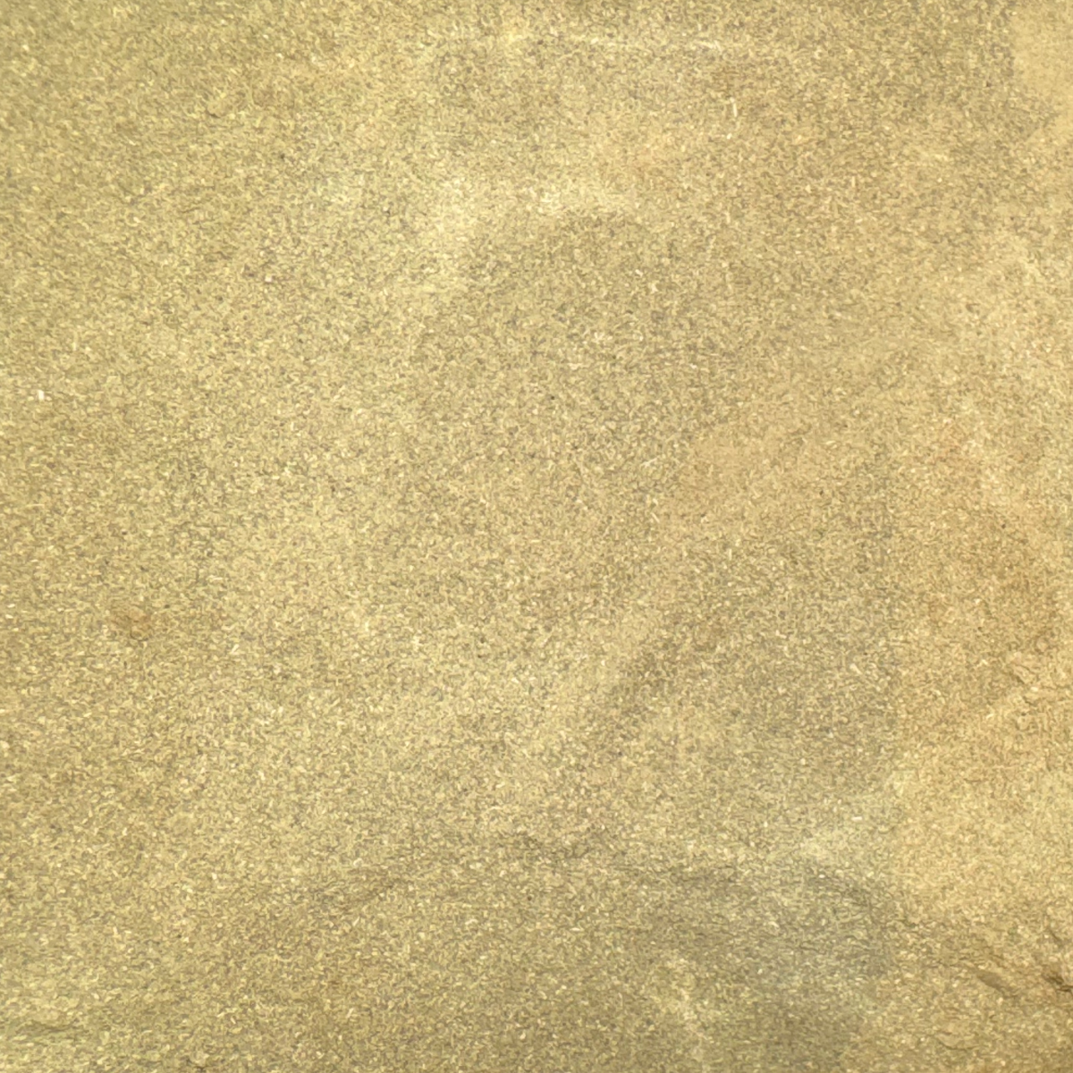 Neem Leaf Powder