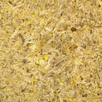Oregon Grape Root Cut