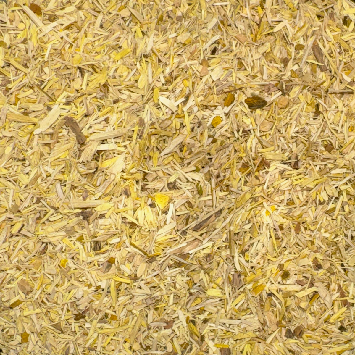 Oregon Grape Root Cut