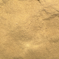 Oregon Grape Root Powder