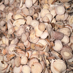 Peony Root (White) Cut