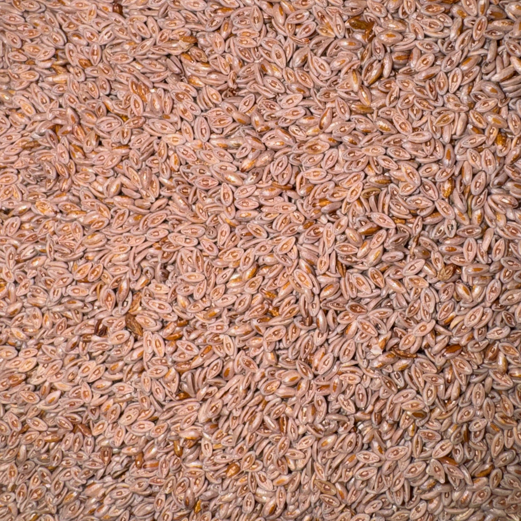 Psyllium Seeds Whole