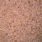 Psyllium Seeds Whole