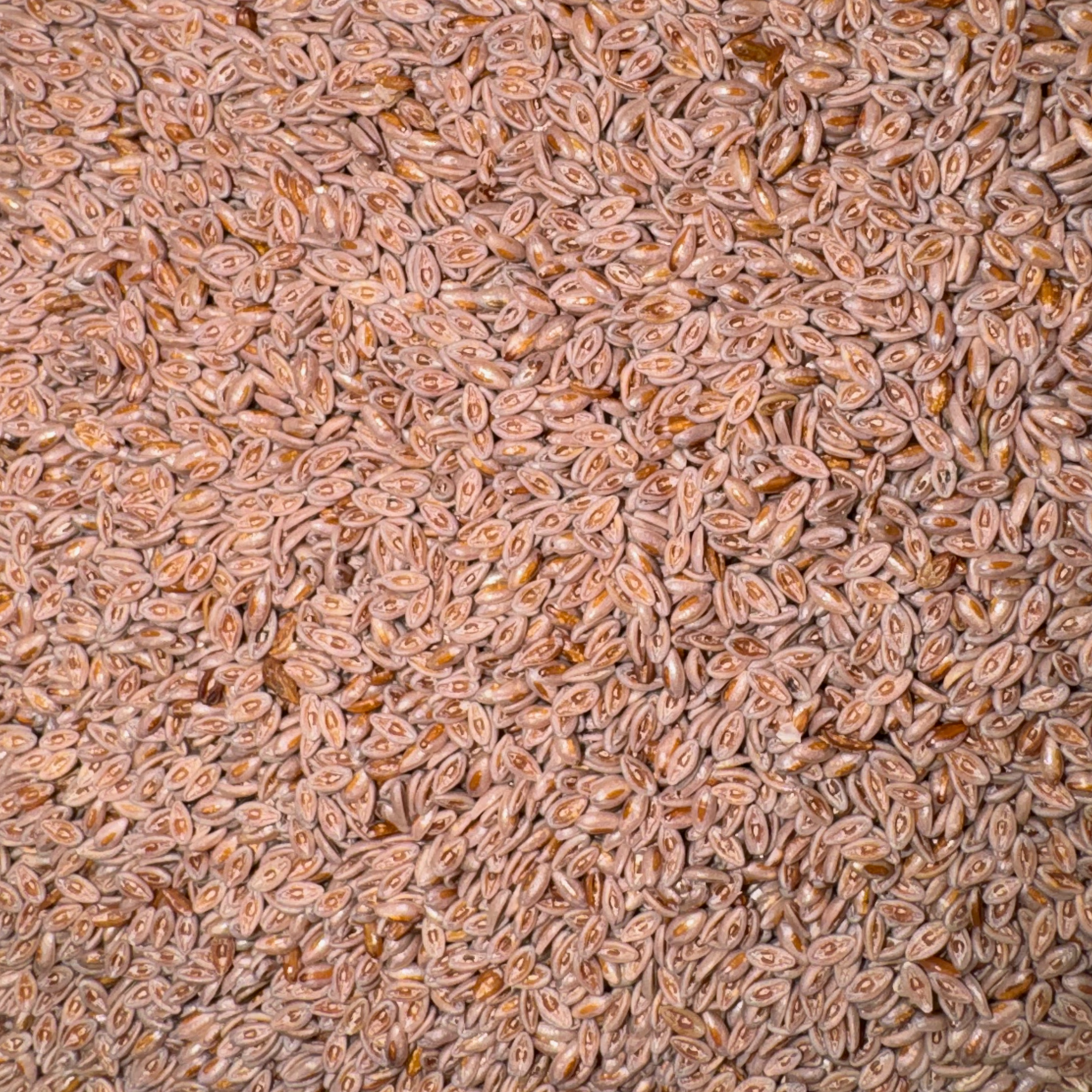 Psyllium Seeds Whole