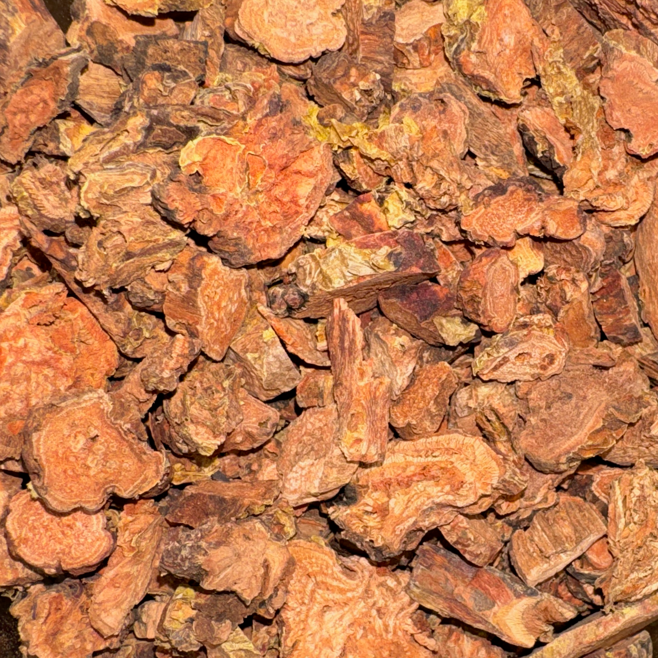 Rhodiola rosea - Cut - Limited Supply