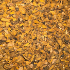 Rhubarb Root, Turkey Cut