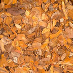 Sassafras Bark of Root Cut - 4 oz Maximum Order - LIMITED SUPPLY