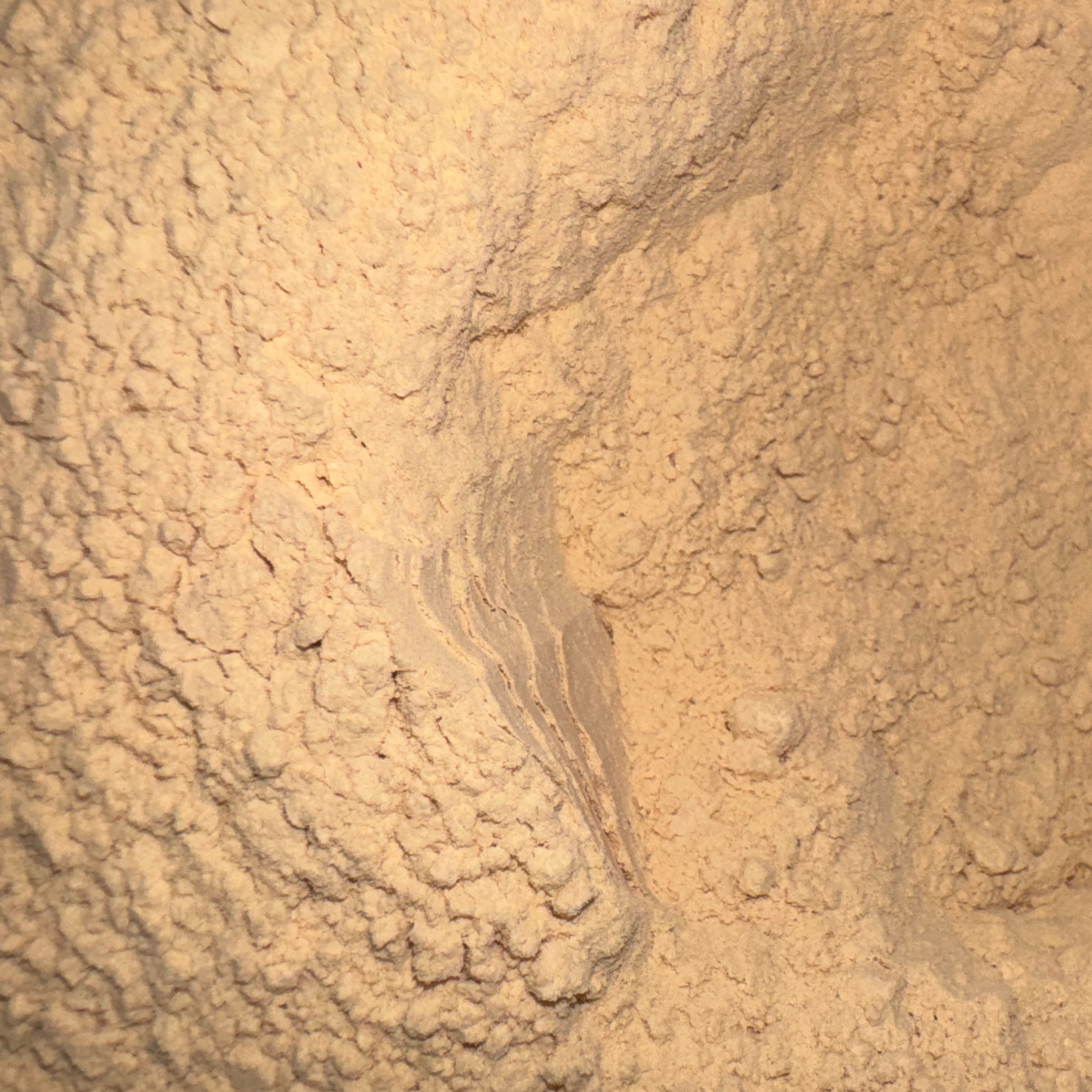Shatavari Root Powder