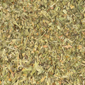 Stevia Leaf