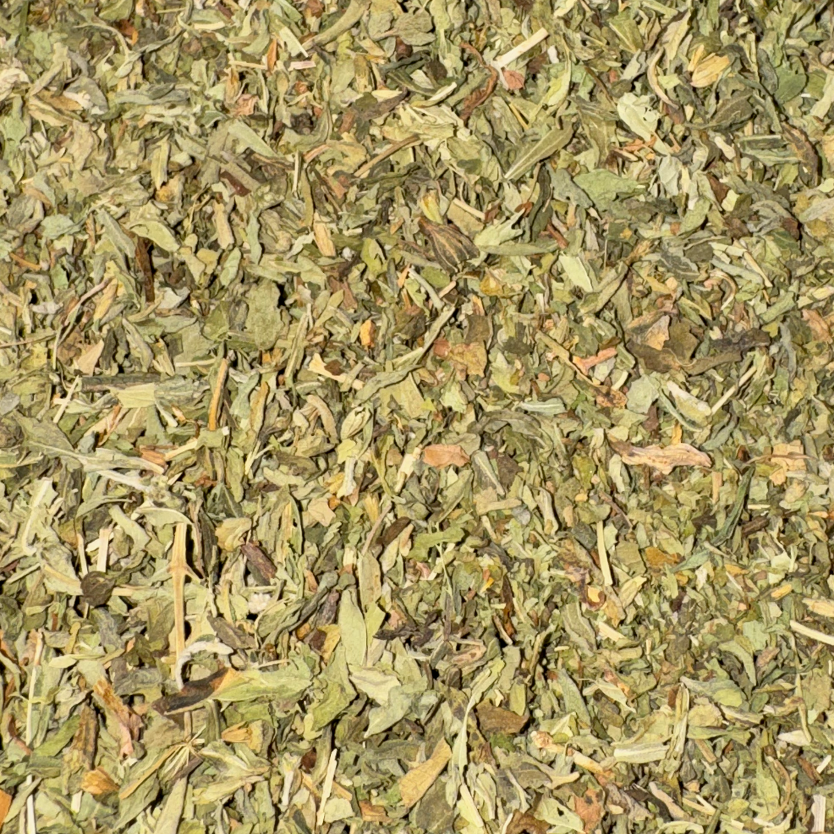 Stevia Leaf