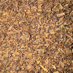 Tulsi Leaf Cut - Holy Basil