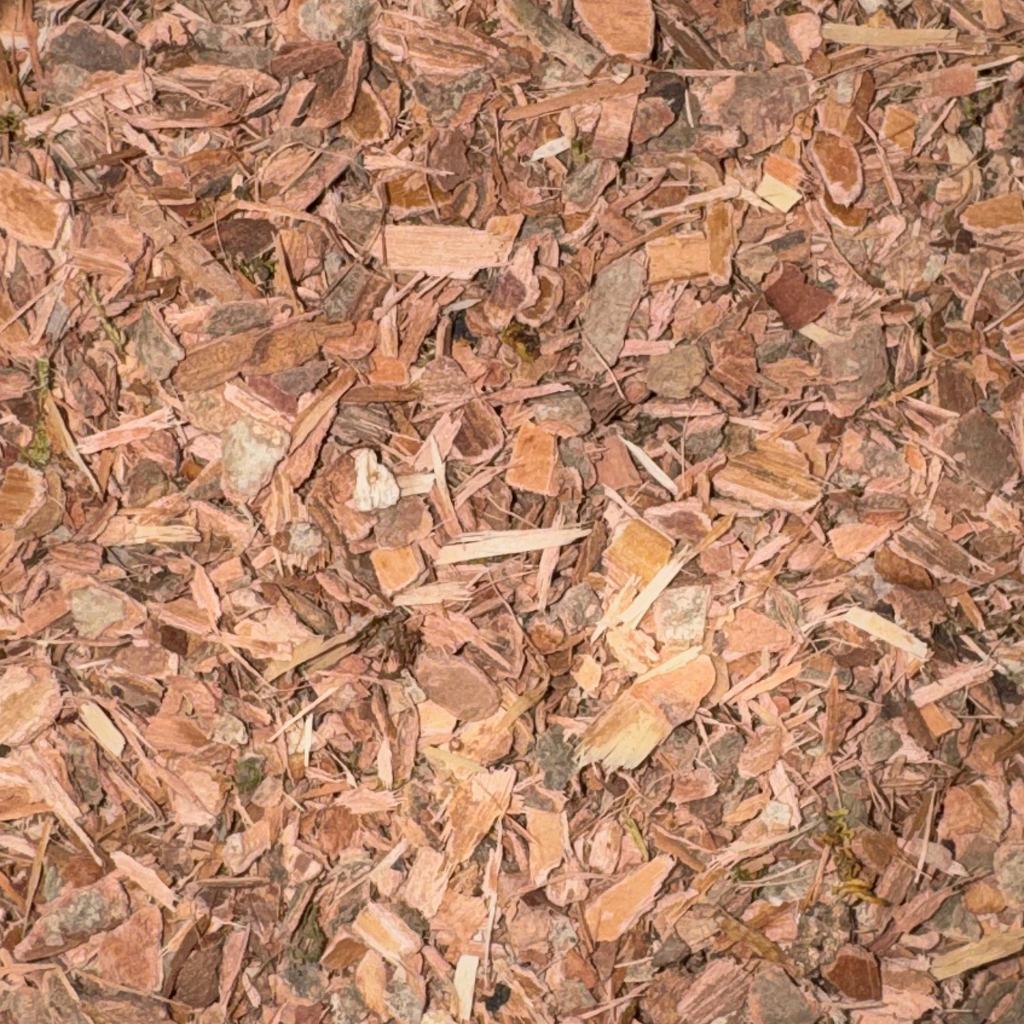Witch Hazel Bark
