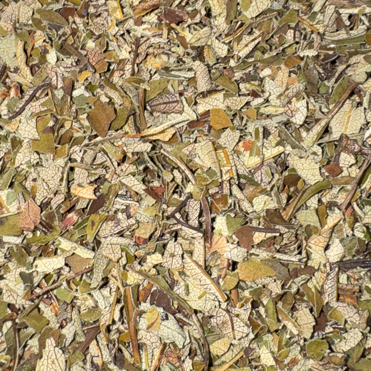 Yerba Santa Cut - VERY LIMITED SUPPLY - 8 oz MAX ORDER