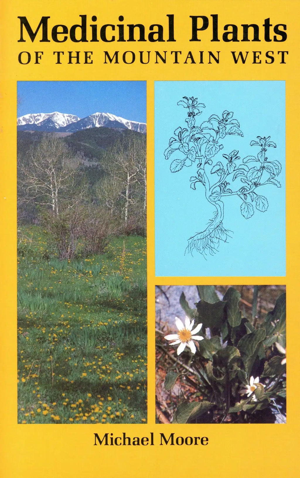 Medicinal Plants of the Mountain West