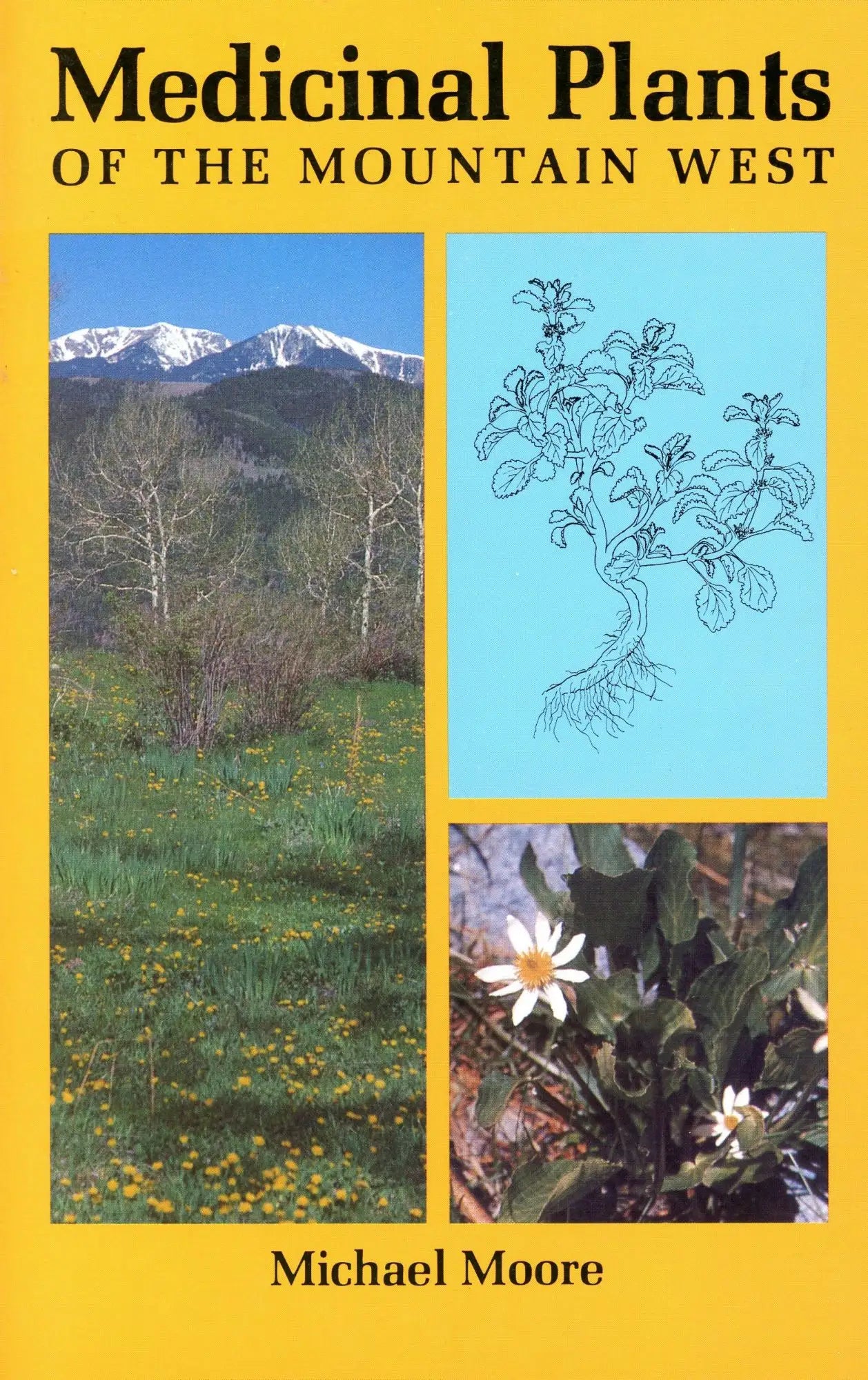 Medicinal Plants of the Mountain West