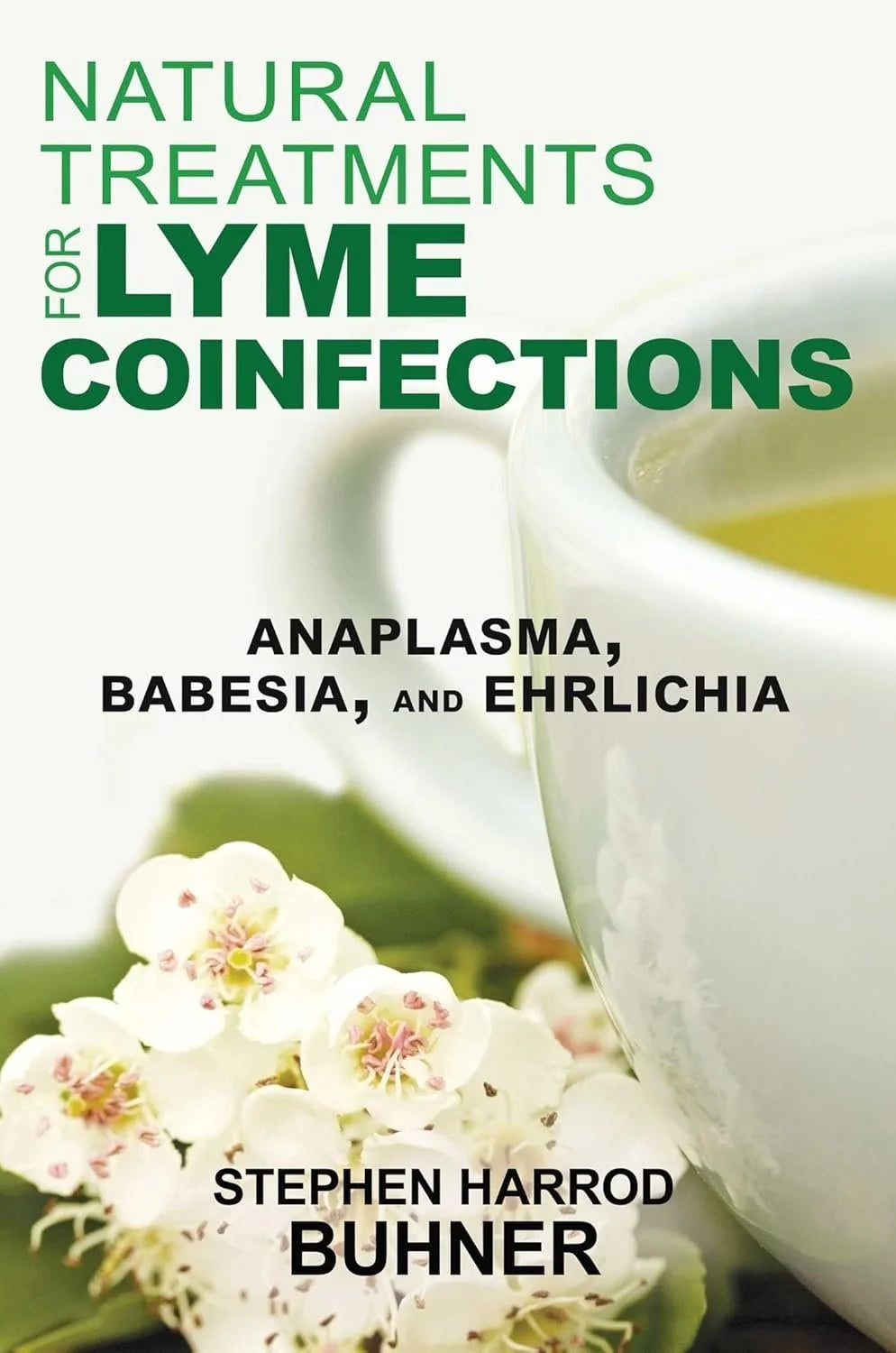 Natural Treatments for Lyme Disease Coinfections