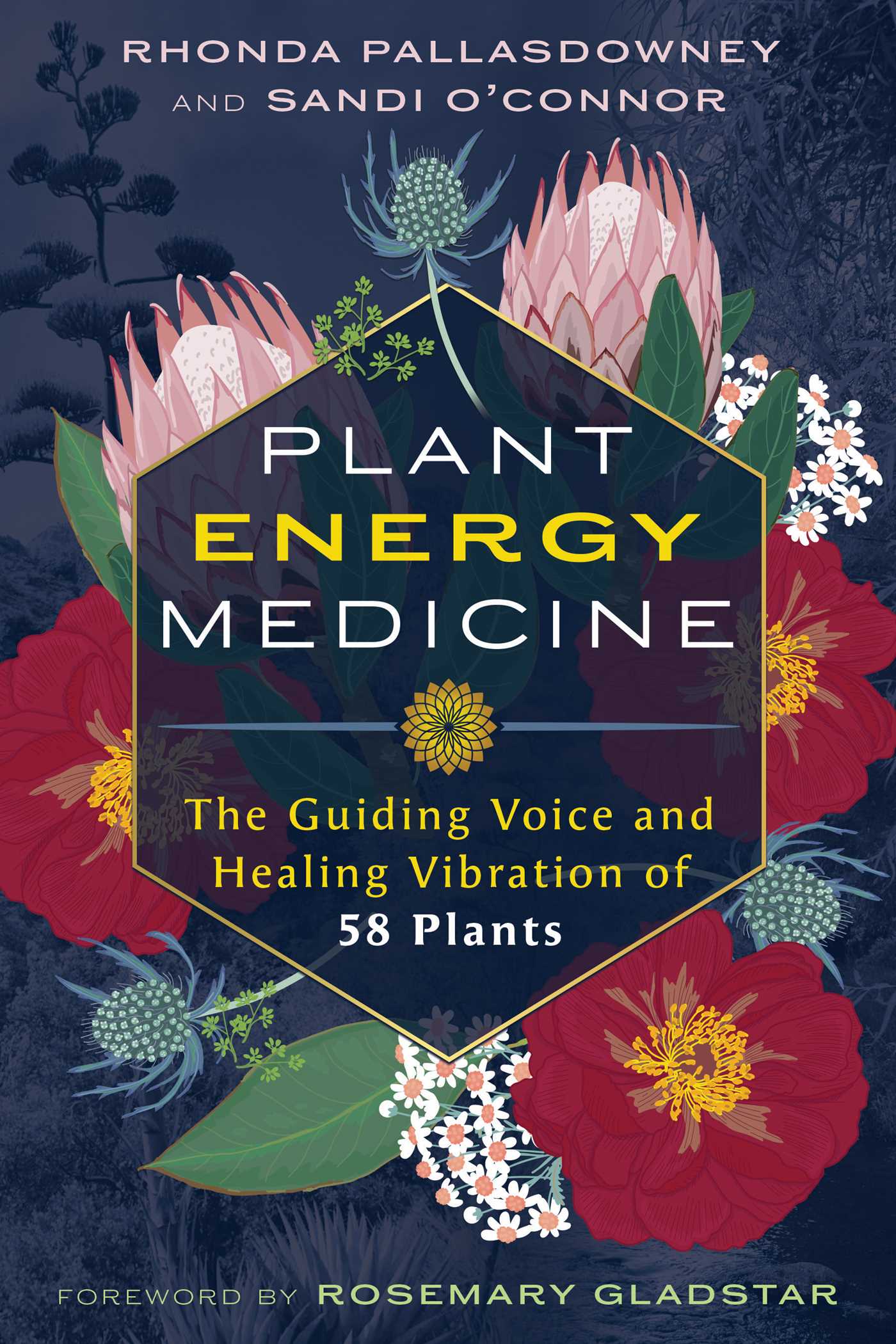 Plant Energy Medicine