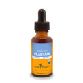 Plantain Extract