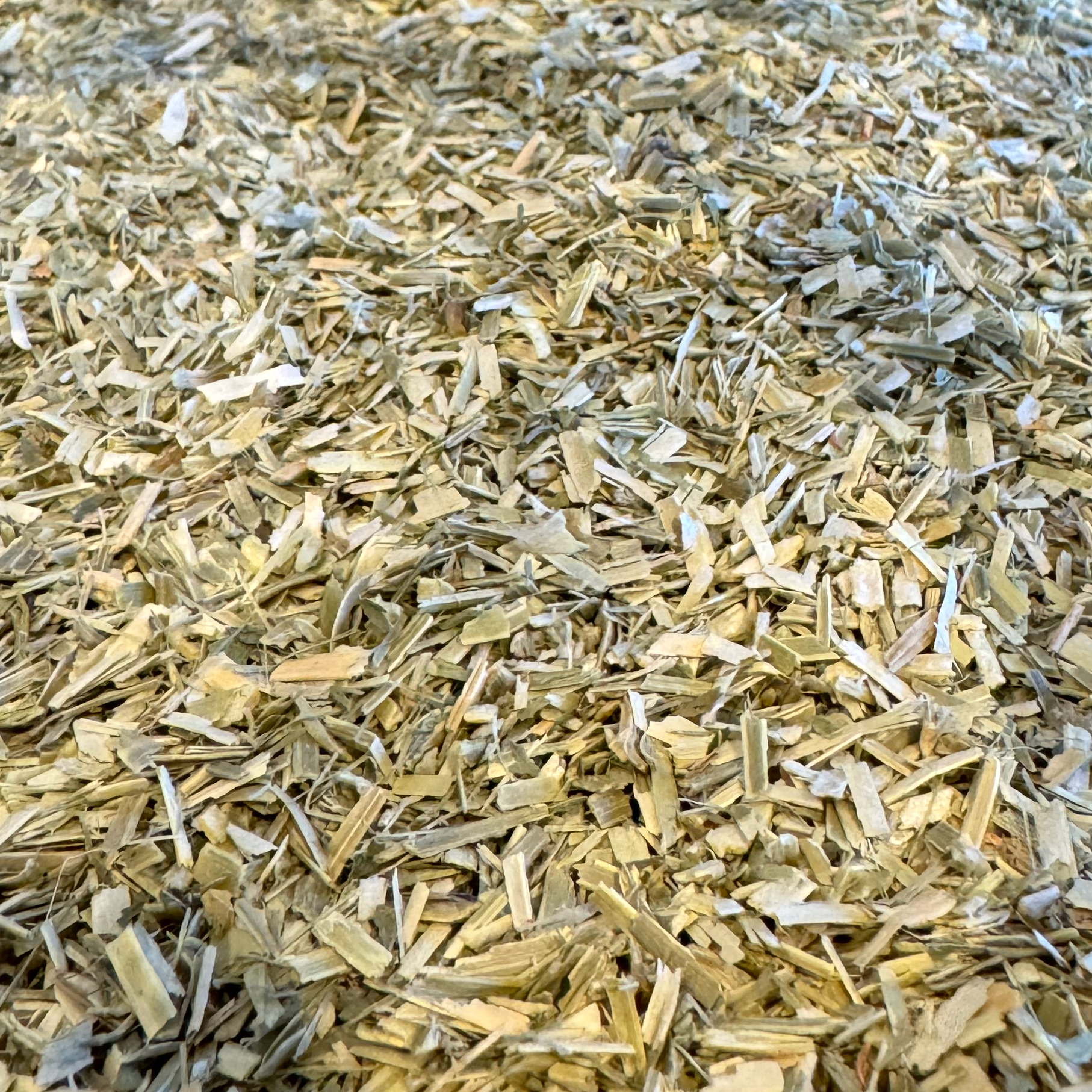 Alfalfa Leaf Cut