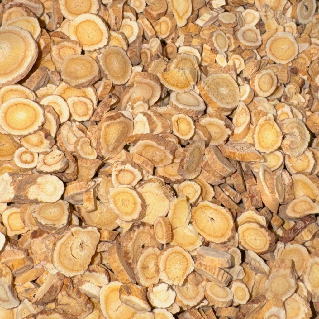 Astragalus Root