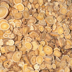 Astragalus Root