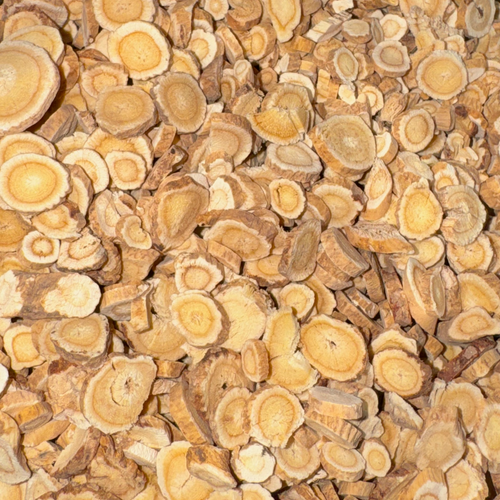 Astragalus Root