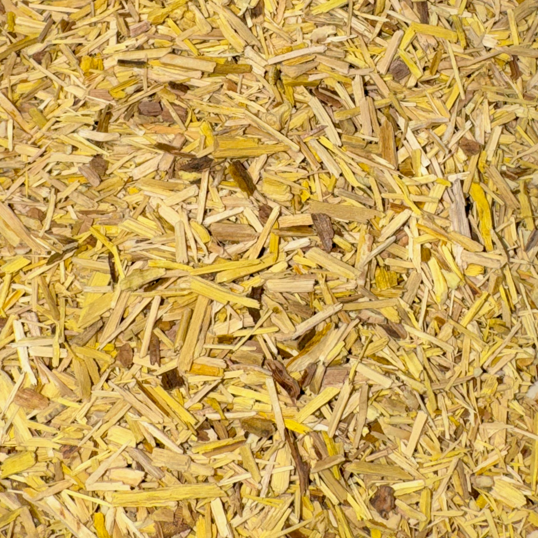 Barberry Root Bark Cut