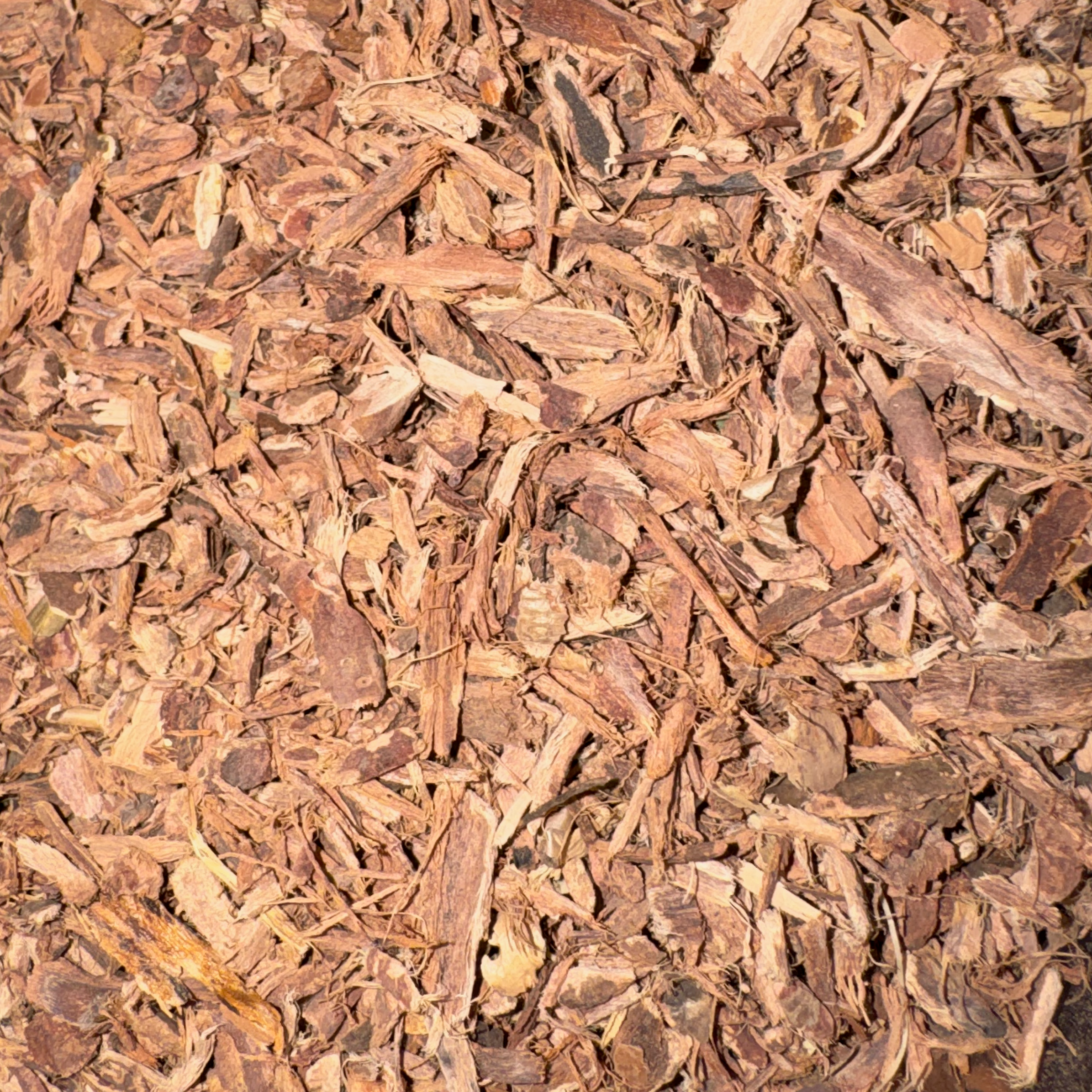 Bayberry Bark Cut