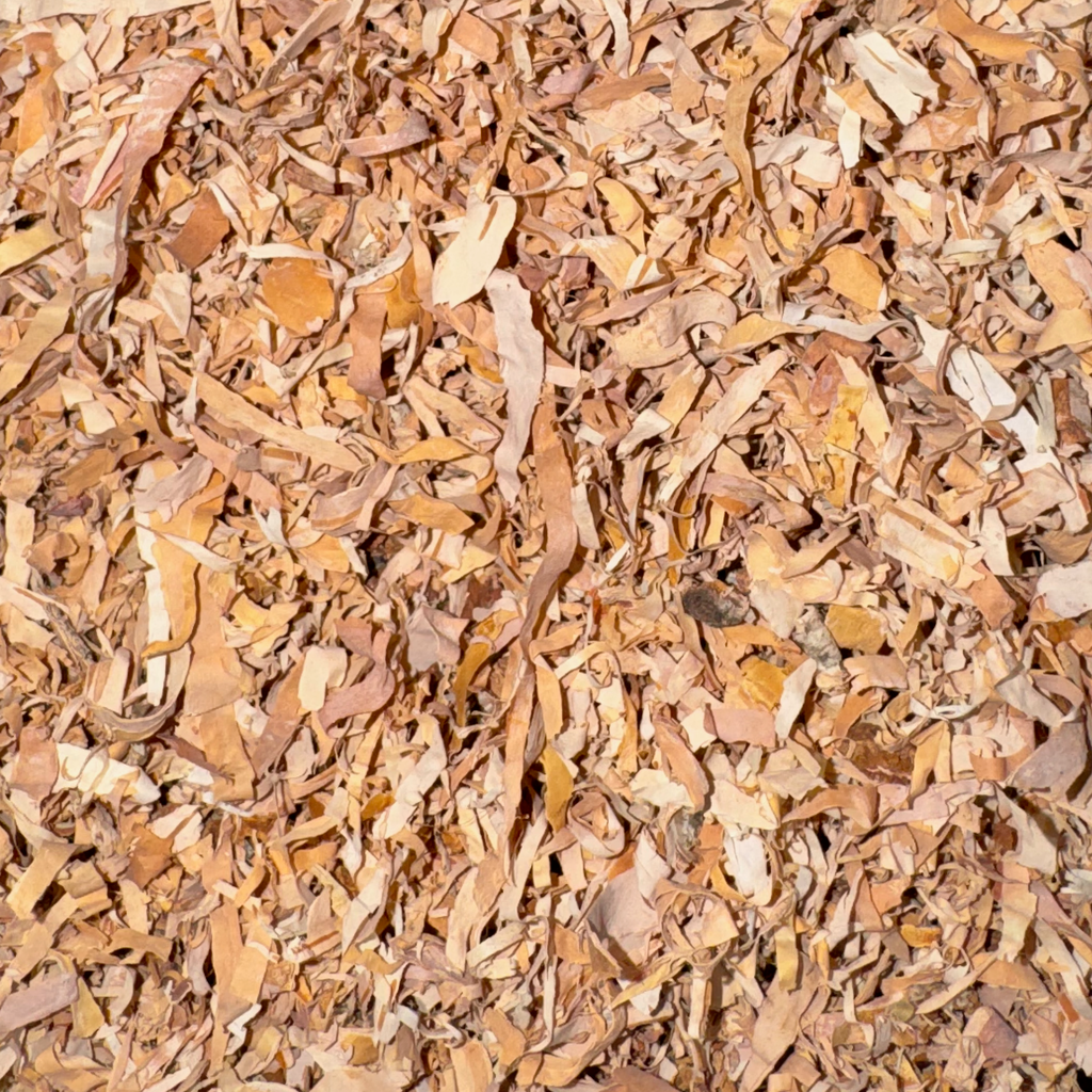 Birch Bark Cut
