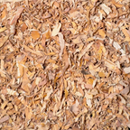 Birch Bark Cut