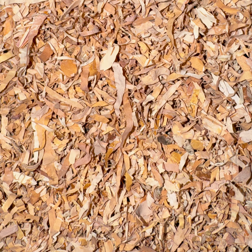 Birch Bark Cut