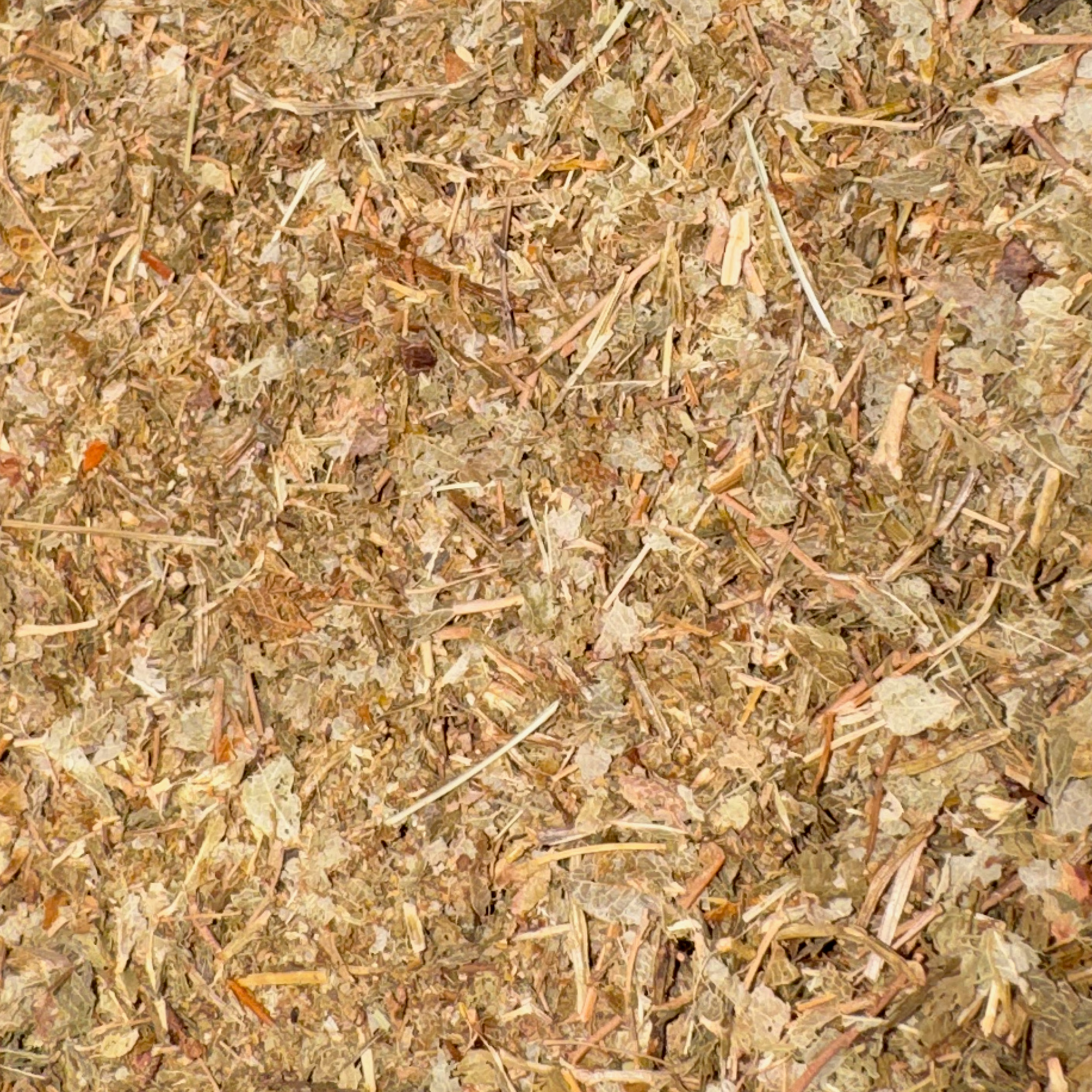 Bilberry Leaf Cut