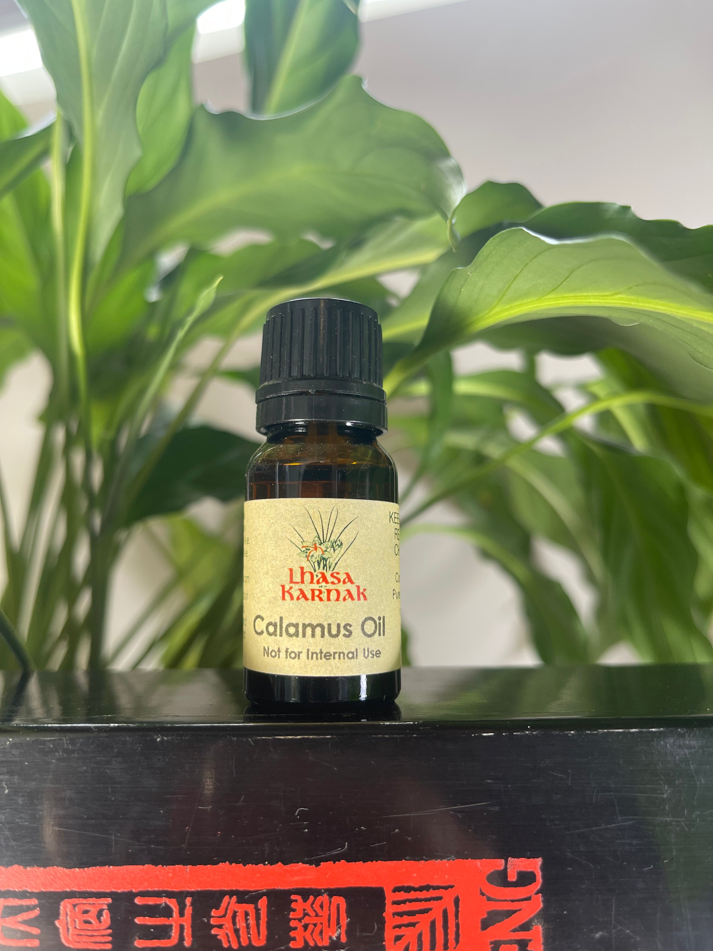 Calamus Root Essential Oil