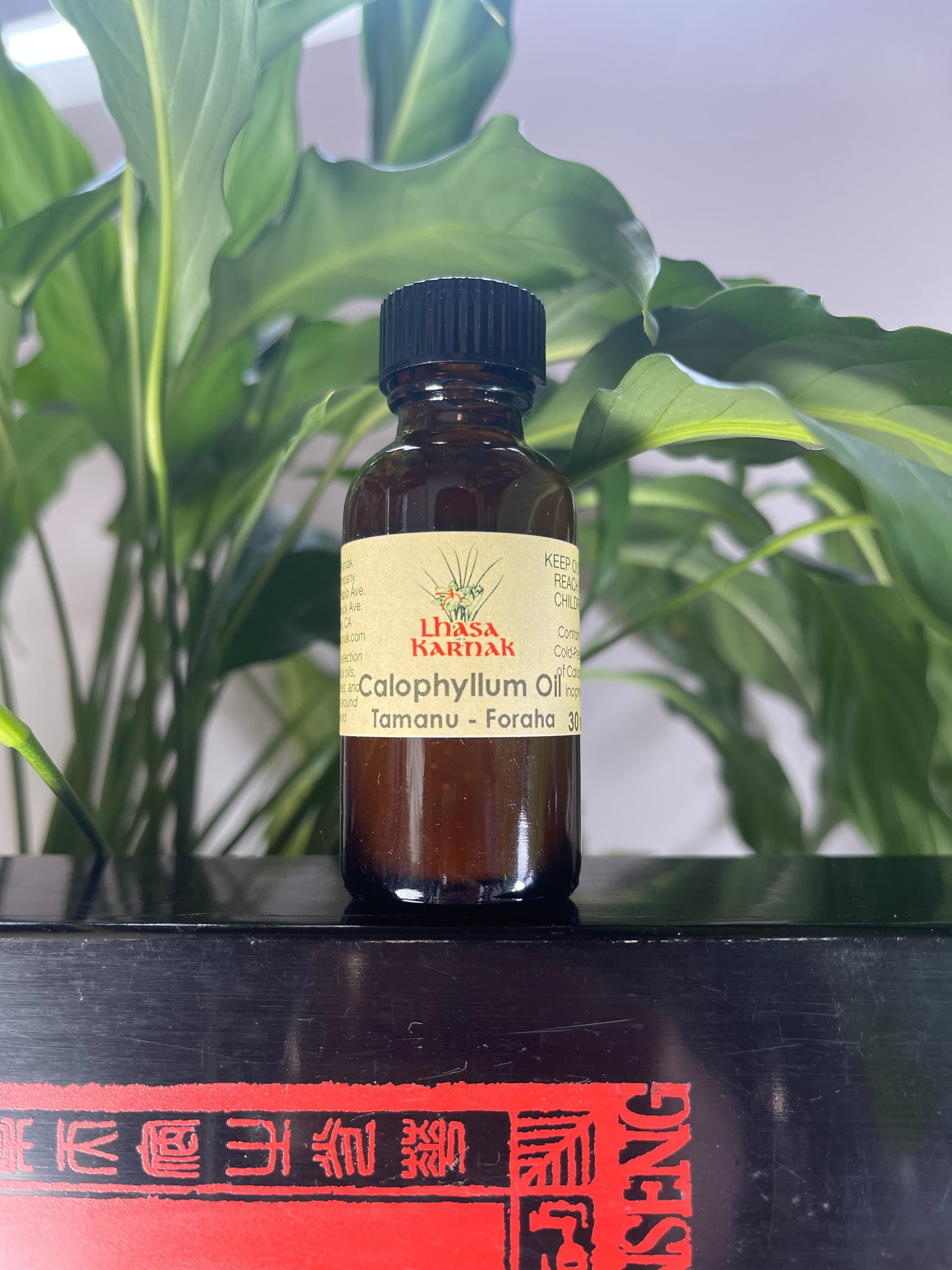 Calophyllum Cold-Pressed Oil