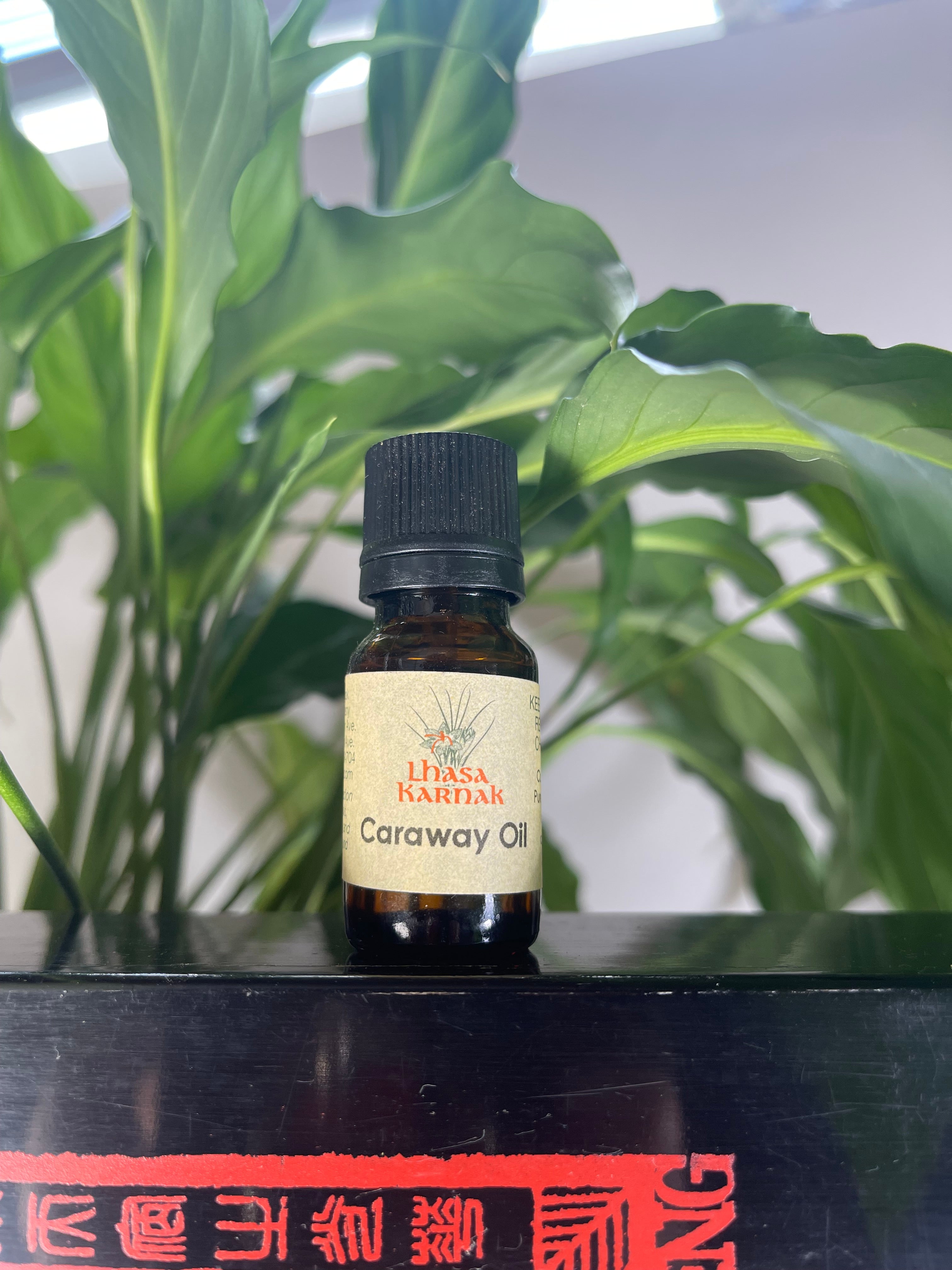 Caraway Seed Essential Oil