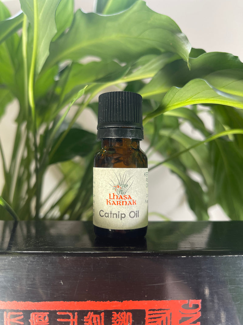 Catnip Leaf Essential Oil