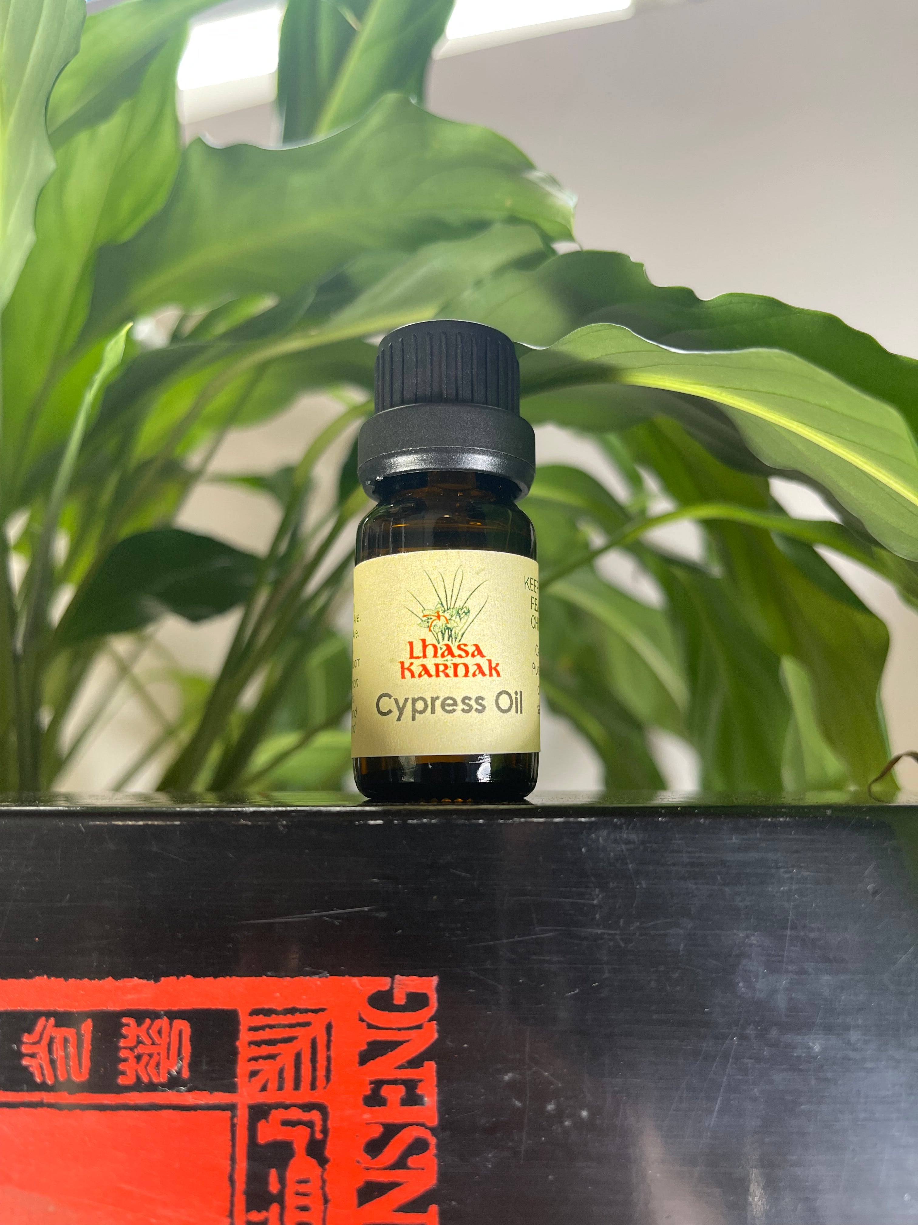 Cypress Essential Oil