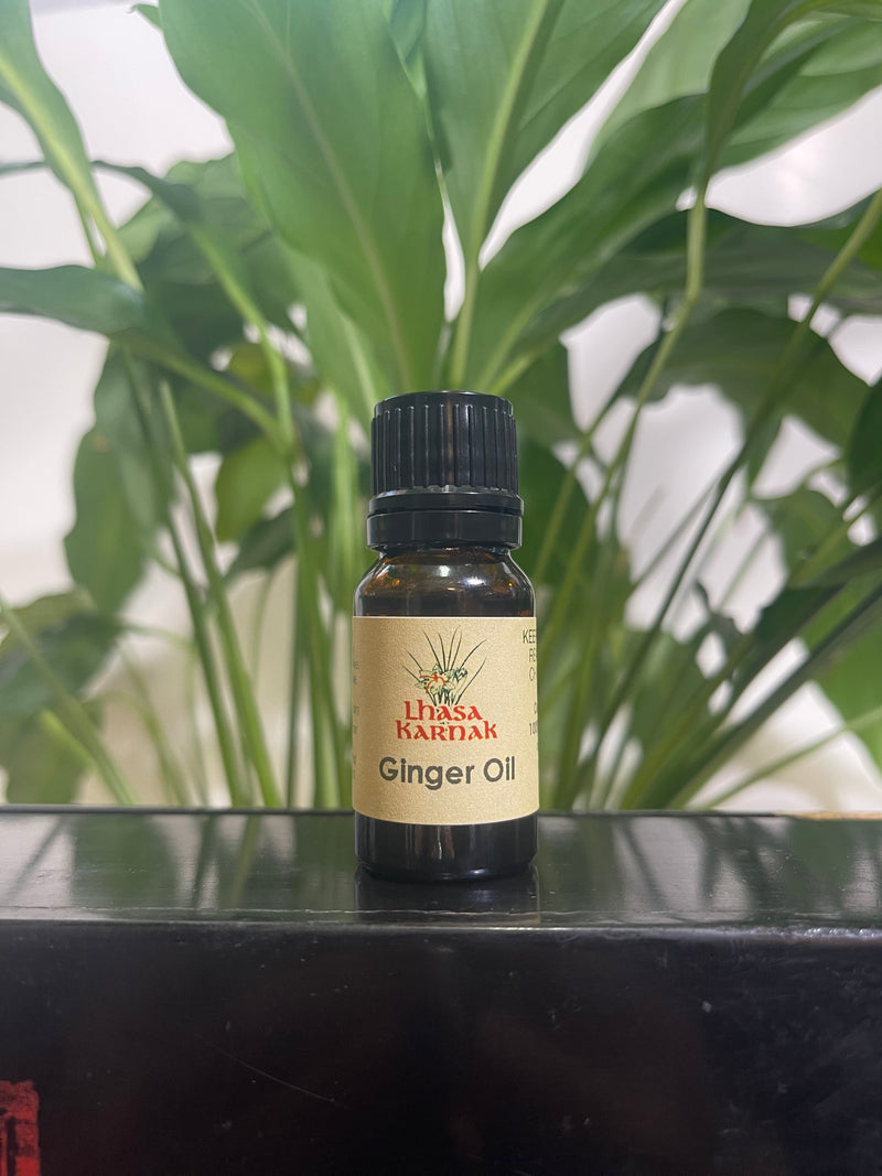 Ginger Root Essential Oil