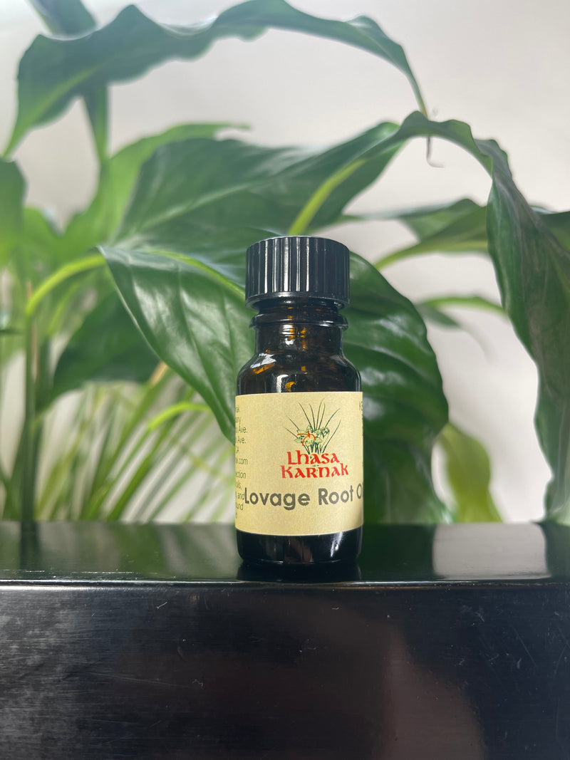 Lovage Root Essential Oil