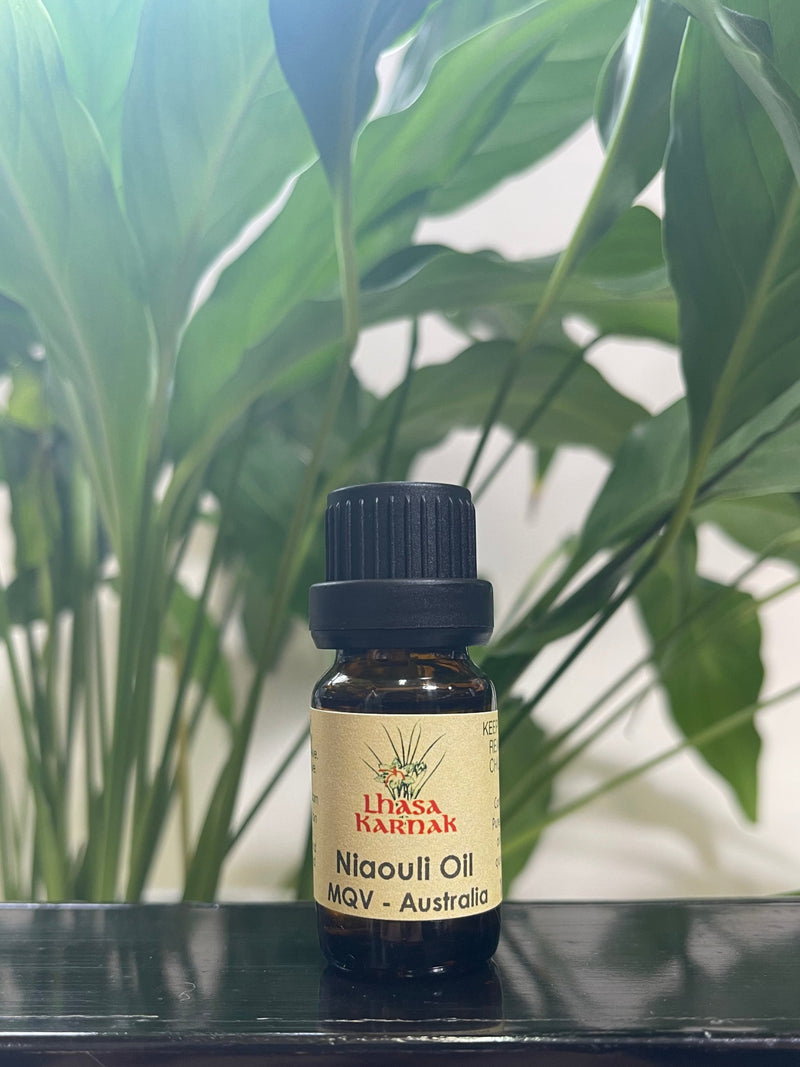 Niaouli Essential Oil