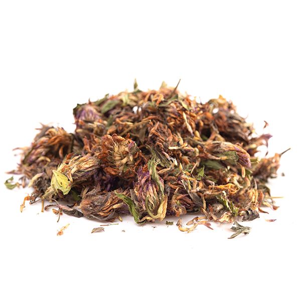 Clover, Red - Premium U.S. Whole Tops