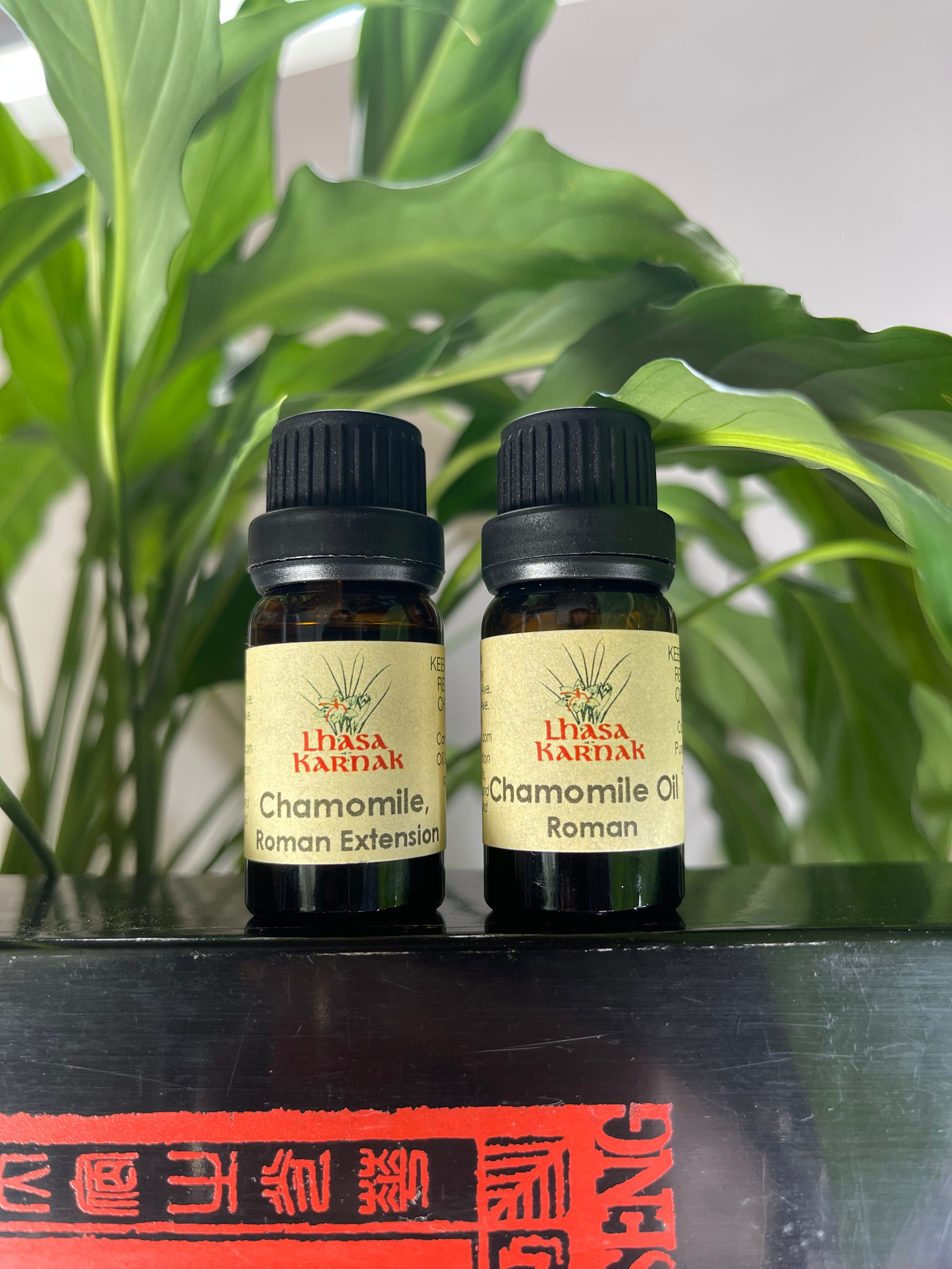 Chamomile Oil, Roman Extension
