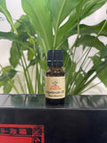 Sagebrush Essential Oil