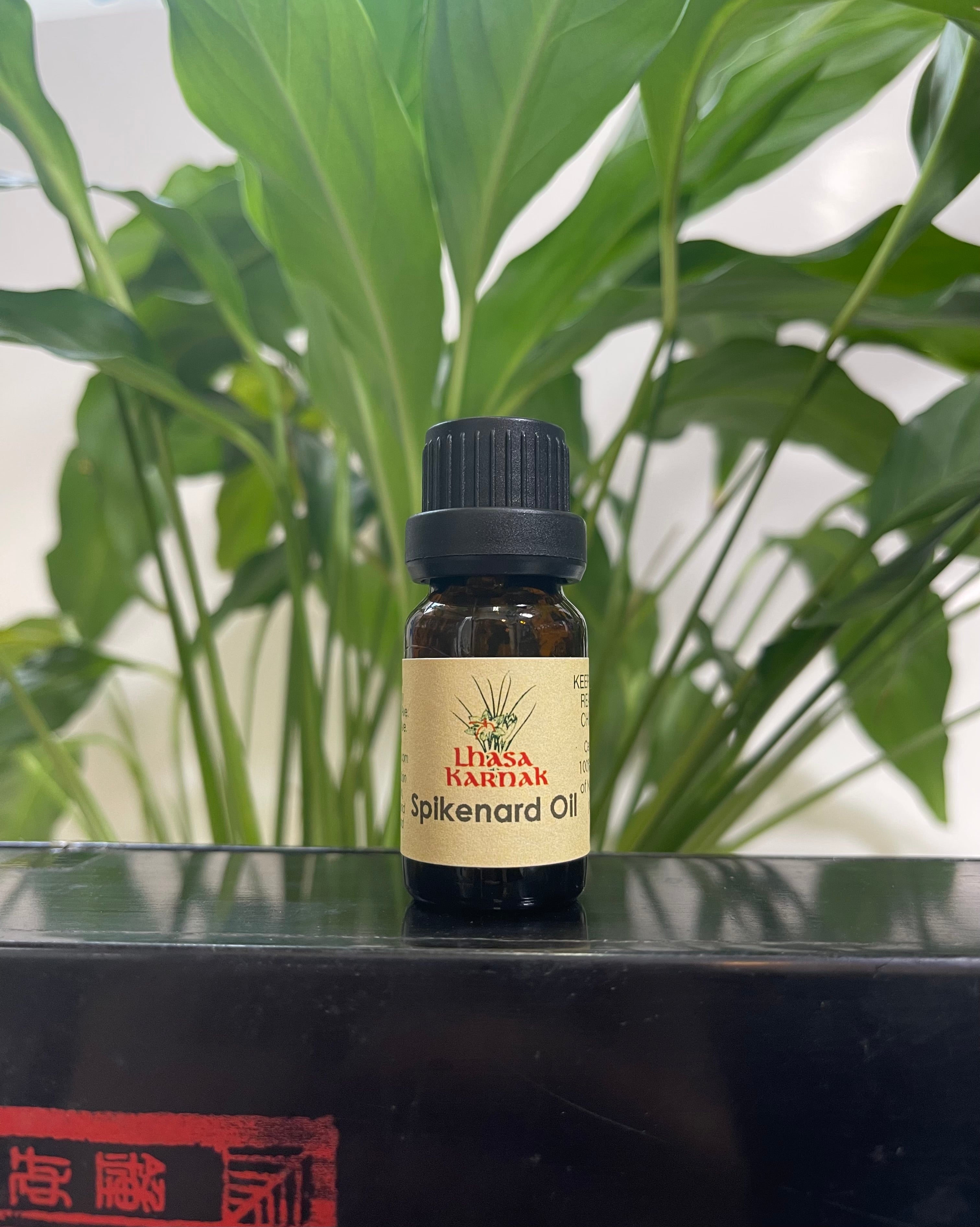 Spikenard Essential Oil | Earthy Aroma – Lhasa Karnak – Lhasa
