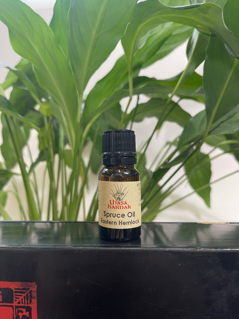 Spruce Needle Essential Oil