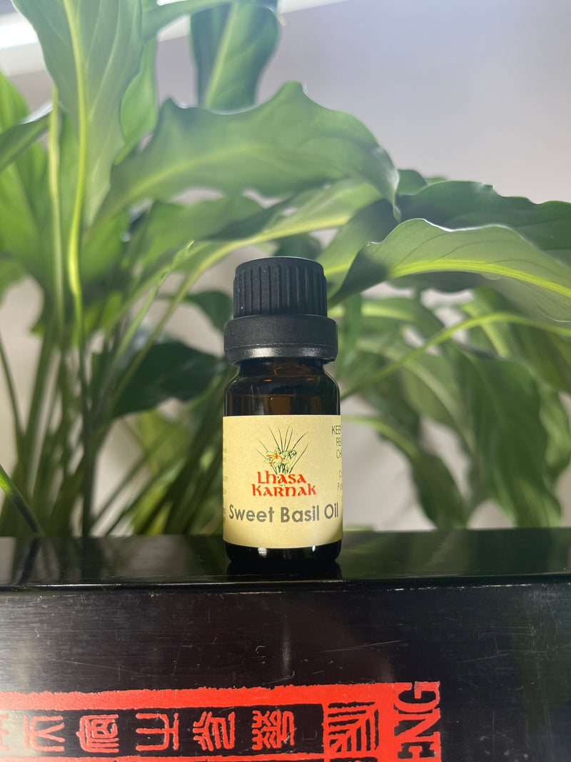 Sweet Basil Essential Oil