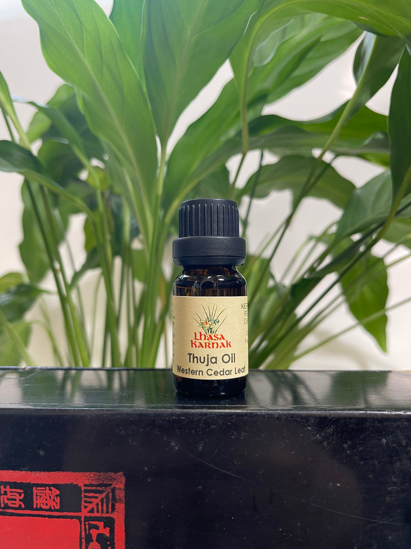 Thuja Essential Oil