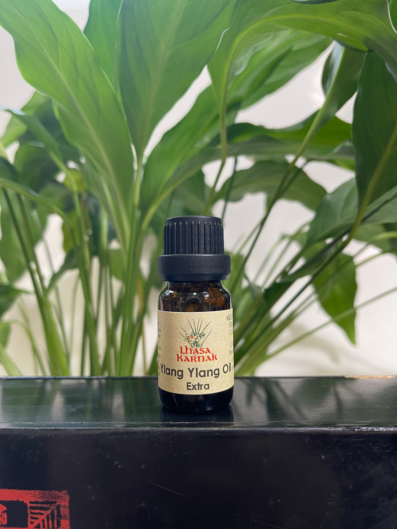 Ylang Ylang Extra Essential Oil