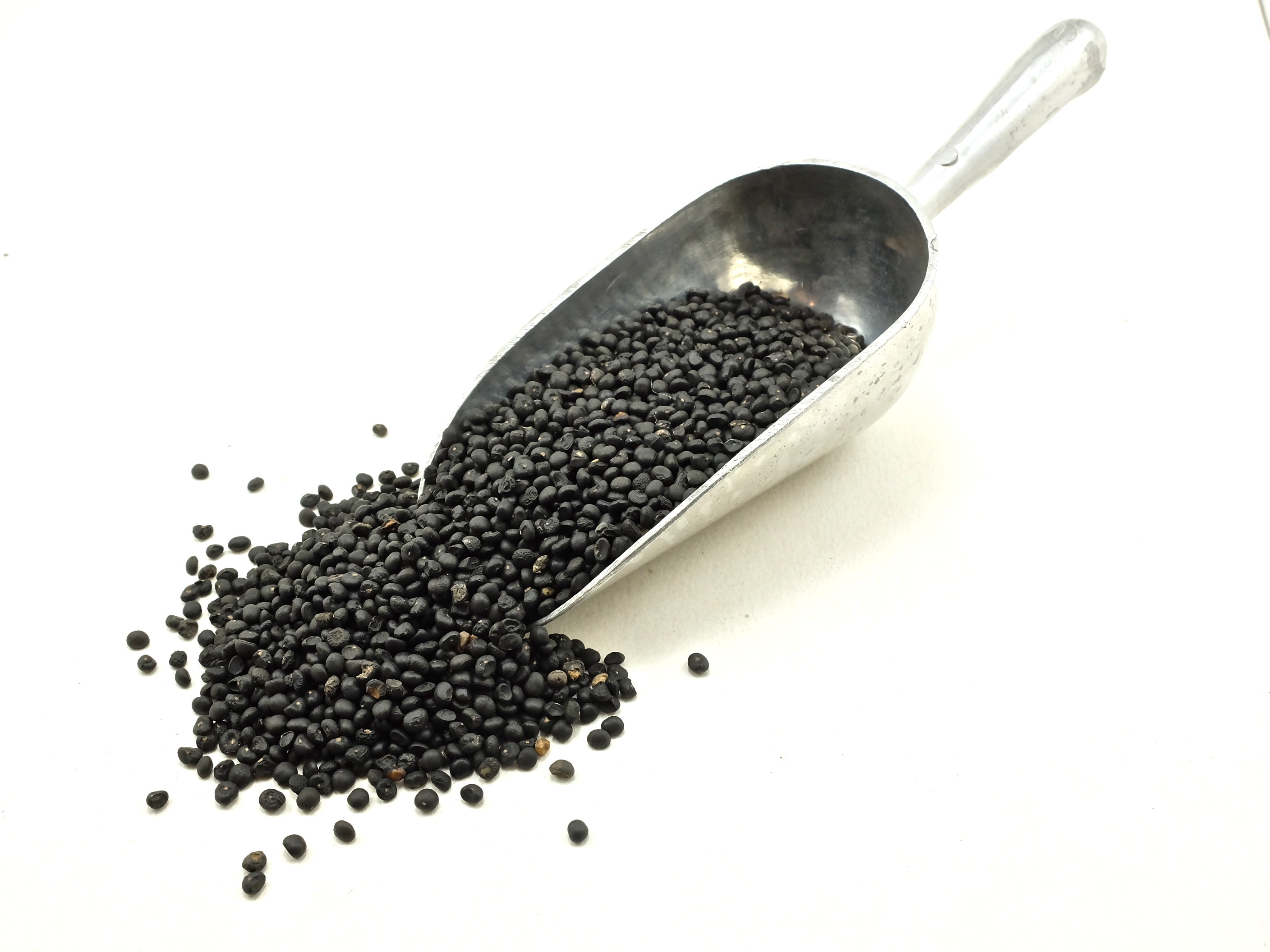Asparagus Seed Whole